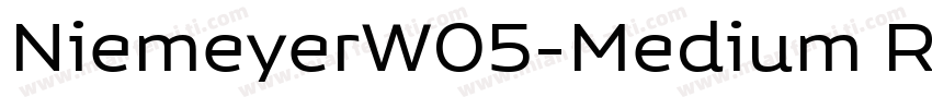 NiemeyerW05-Medium R字体转换
